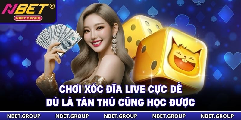 Chơi Xóc Đĩa Live cực dễ dù là tân thủ cũng học được