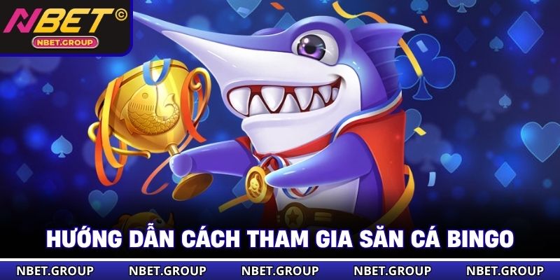 Hướng dẫn cách tham gia săn cá Bingo 