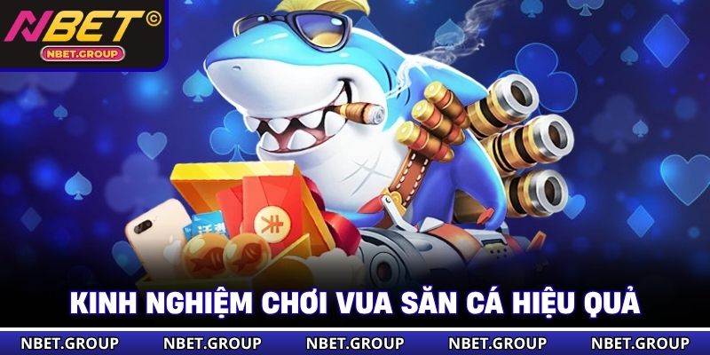 Kinh nghiệm chơi Vua Săn Cá hiệu quả