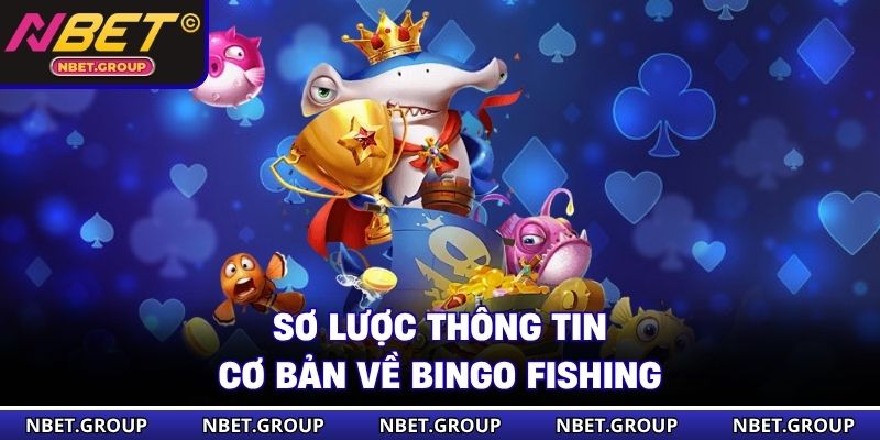 Sơ lược thông tin cơ bản về Bingo Fishing